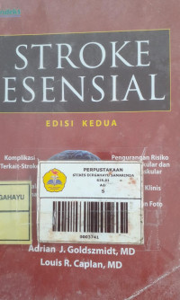 Image of Stroke  Esensial Edisi 2