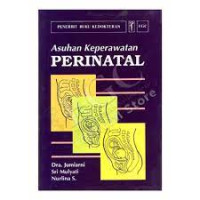 Image of Asuhan Keperawatan Perinatal