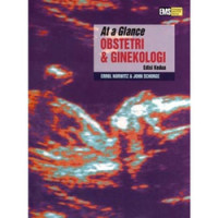Image of At a Glance obstetri dan Ginekologi Edisi 2